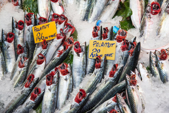 Fresh fish at a market in Istanbul, Turkey