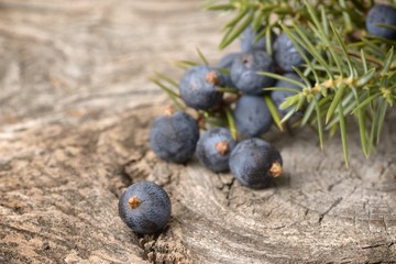 Juniper berries isolated on a wooden background