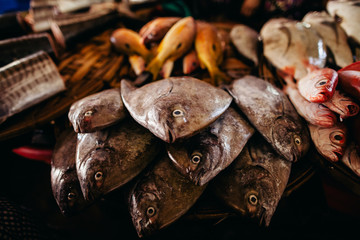 Raw fish sliced and cut at street market