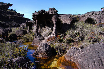 Mount Roraima - Venezuela