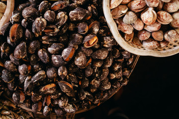 cockle and clam raw sea food at asian street market