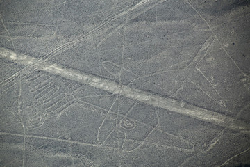 Aerial view of Nazca Lines -  Whale geoglyph, Peru.