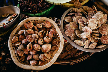 cockle and clam raw sea food at asian street market
