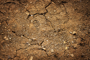 grunge background