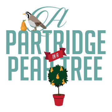 A partridge in a pear tree EPS 10 vector illustration