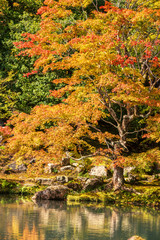 Zen garden in Tenryu-ji temple in autumn season