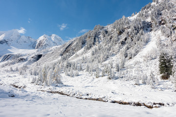 verschneiter Winterwald im Hochtal