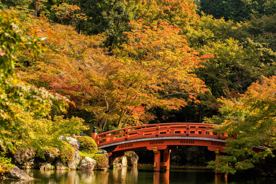 Autumn at daigoji temple with colorful