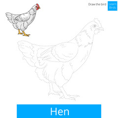 Hen bird learn to draw vector