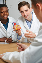 Teacher With Model Of Heart In Biology Class