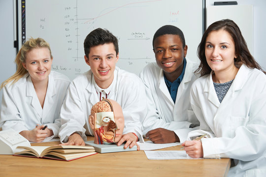 Group Of Students In Biology Class