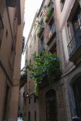 Готически квартал. Барселона, Каталония, Испания.
