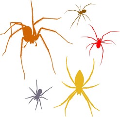 set of colored silhouettes spiders