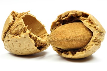 Mandel isoliert auf weißem Hintergrund