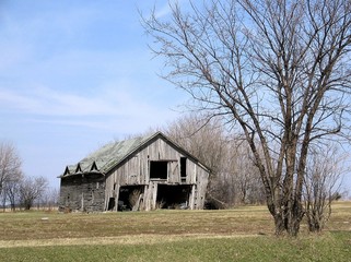 Obraz premium rustic old bare wooden barn