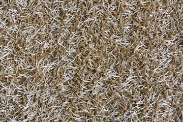 Beige shaggy carpet texture background