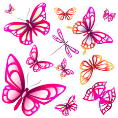 butterflies design