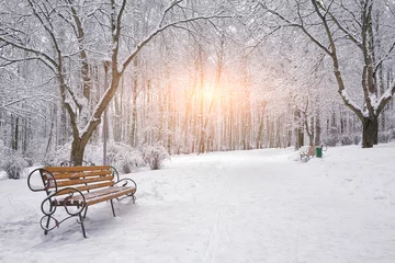 Papier Peint photo Hiver Snow-covered trees and benches in the city park