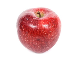 closeup of a red apple