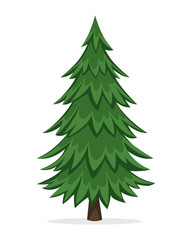 Obraz premium Cartoon Pine Tree