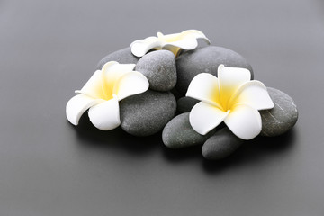 Fototapeta na wymiar Spa stones with flowers on gray background