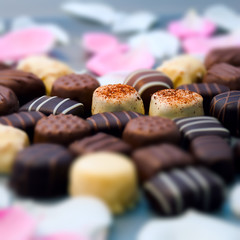 Romantic chocolate truffles white roses heart shape square 