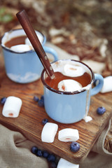 Cocoa with marshmallow in mugs on the ground