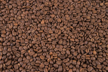 coffee bean