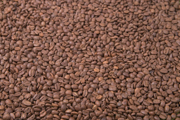 coffee bean background