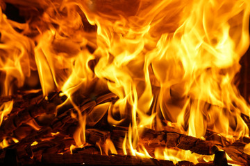 Fototapeta premium fire in fireplace