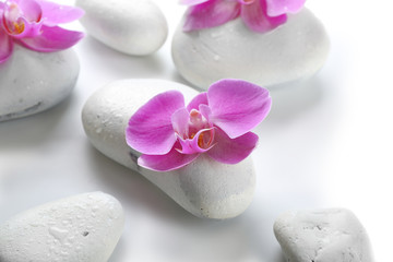 Fototapeta na wymiar White spa stones and orchids isolated on white