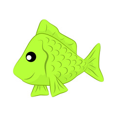 fish isolated illustration