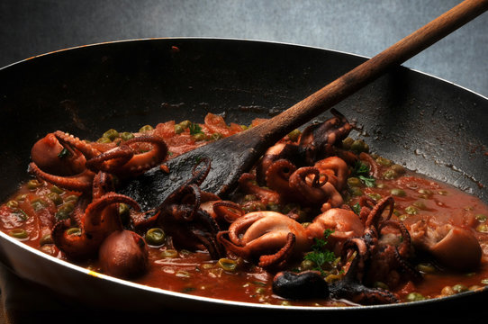 Octopus globosus