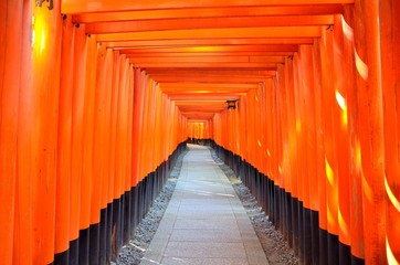 Kyoto Fushimi Inari Taisha Senbon Torii