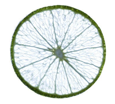 slice of fresh lime on white background