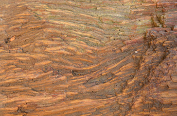 Rock Texture