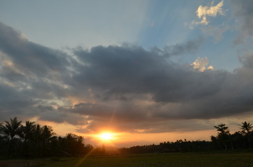 the beautifull sunset at rice field