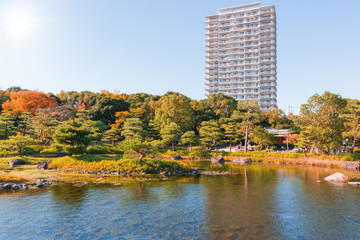 Fototapeta premium Japanese Garden in autumn / daylight.