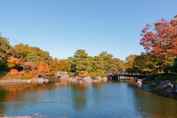 Japanese Garden in autumn / daylight.