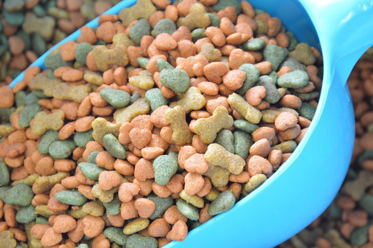 dog food in blue plastic scoop