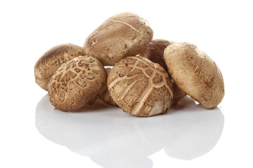 Shiitake mushroom on the White background