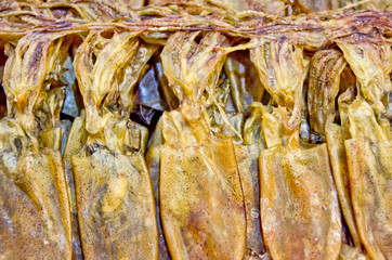 Close up dry squid.