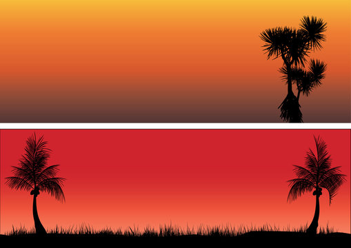 coconut trees and pandanas in the sunset