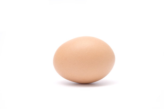 Brown chicken egg