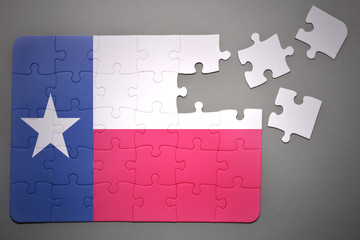 puzzle with the flag of texas state