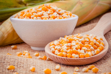 Fototapeta na wymiar Grains of ripe corn in the bowl and spoon with fresh sweet corn
