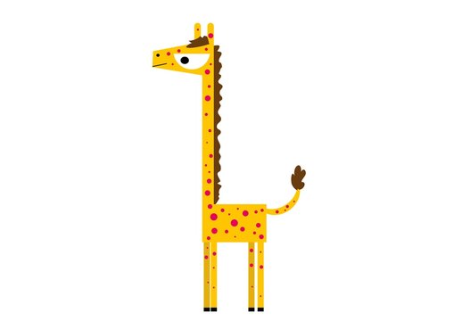 żyrafa