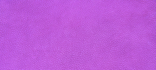 Leather purple texture