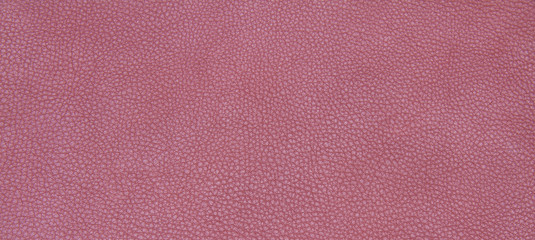 Leather red texture