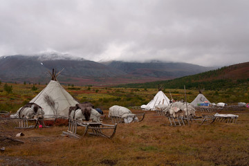 Herders' camp in the mountains of the Polar Urals. Russia. © olenyok